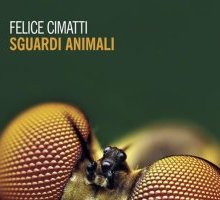 Sguardi animali