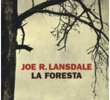 La foresta