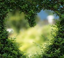 Giardino di Boboli: sulle tracce degli echi letterari del parco storico di Firenze