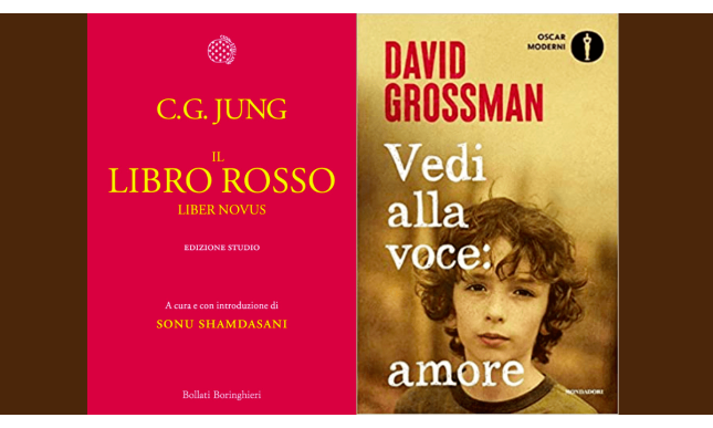 Carl G. Jung e David Grossman: due autori e una visione in comune