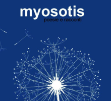 Myosotis