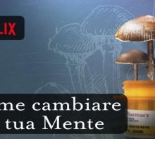  “Come cambiare la tua mente”: il documentario Netflix tratto dal libro di Michael Pollan 