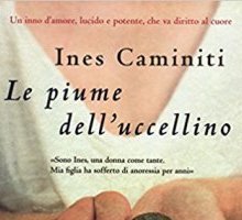 Le piume dell'uccellino