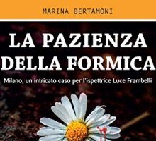 La pazienza della formica