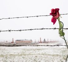 “Il mio popolo”: la poesia di Else Lasker-Schüler dedicata al popolo ebraico