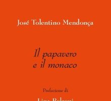 Il papavero e il monaco