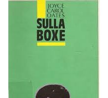 Sulla boxe