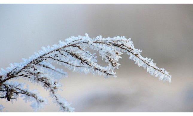 Gennaio: dal significato del nome alle migliori poesie