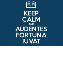 Audentes fortuna iuvat: cosa significa e chi l'ha detto?