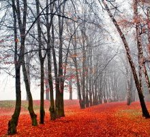 “Novembre” di Vincenzo Cardarelli: una poesia simile a un pianto