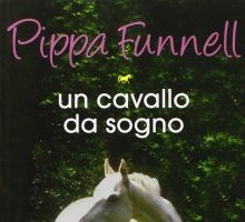 Un cavallo da sogno