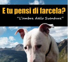 L'ombra dello Sventura (E tu pensi di farcela?)