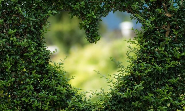 Giardino di Boboli: sulle tracce degli echi letterari del parco storico di Firenze