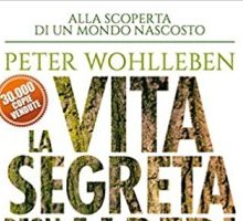 La vita segreta degli alberi