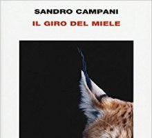 Il giro del miele