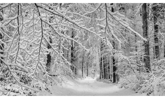 Gennaio, il mese “infinito” nella poesia di Rainer Maria Rilke 