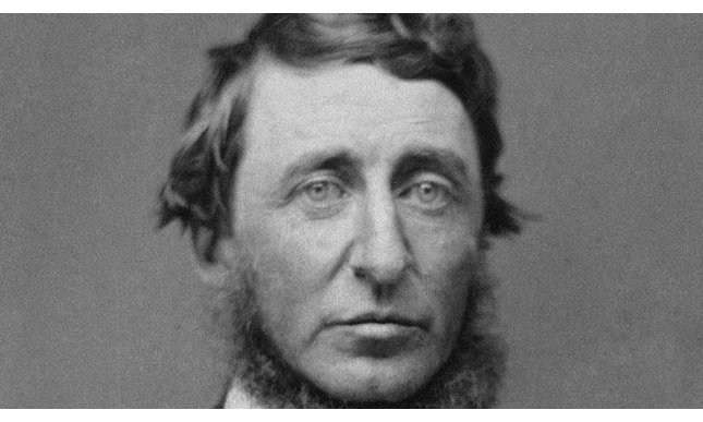 Chi era Henry David Thoreau, il primo scrittore ecologista