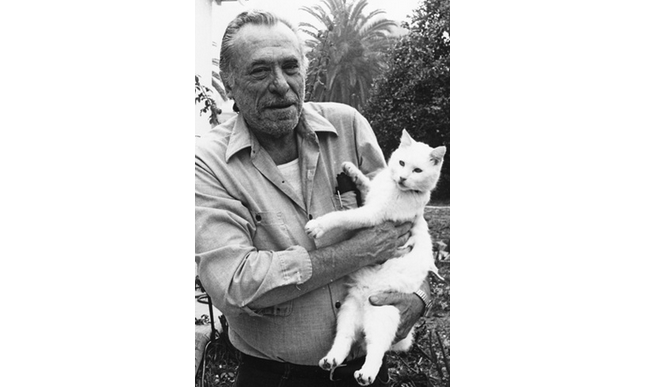 Charles Bukowski: presto in uscita un suo libro inedito sui gatti