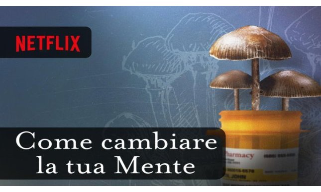  “Come cambiare la tua mente”: il documentario Netflix tratto dal libro di Michael Pollan 