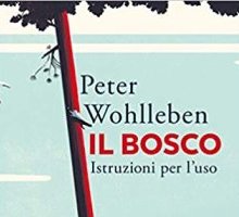 Il bosco. Istruzioni per l'uso