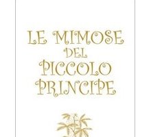 Le mimose del Piccolo Principe