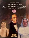 Le suore di carità del Principe di Palagonia. La svolta storica dal 1949 a oggi