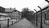 I 15 film tratti dai libri sulla Shoah da vedere nel Giorno della memoria