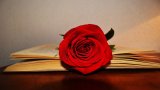 Festa di San Jordi: cos'è e perché si regalano rose e libri