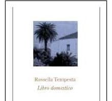 Libro domestico