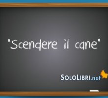 Accademia della Crusca, no a “scendere il cane”: ecco spiegato l'equivoco