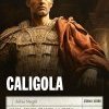 Caligola. Amato, odiato, tradito: la storia mai raccontata del terzo imperatore