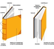 Libro: com'è fatto? Ecco le parti che lo compongono