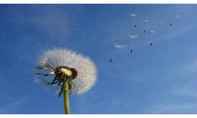 “You, wind of March” di Cesare Pavese: testo e analisi della poesia