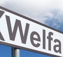 Welfare: cos'è, cosa vuol dire e come funziona