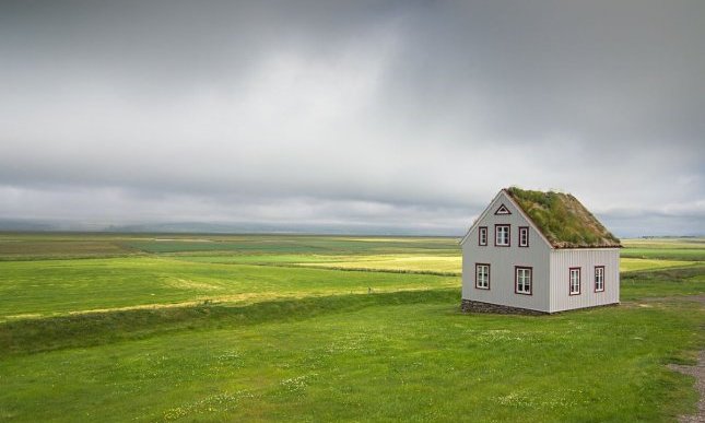 “Digging” di Séamus Heaney: la più bella poesia del Premio Nobel irlandese a 10 anni dalla scomparsa