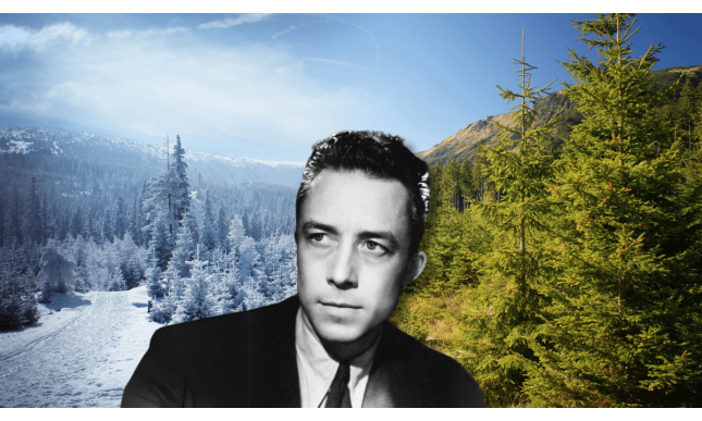 “Invincibile estate”: la poesia attribuita ad Albert Camus sulla resilienza umana