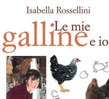 Le mie galline e io