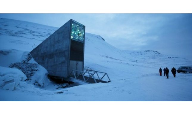 Arctic World Archive e Doomsday Library: cos'è la Biblioteca dell'Apocalisse e a cosa serve