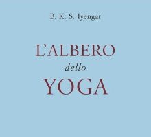 L'albero dello yoga