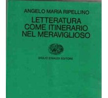 Letteratura come itinerario nel meraviglioso 