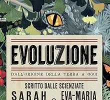 Evoluzione