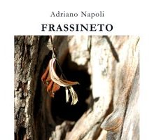 Frassineto