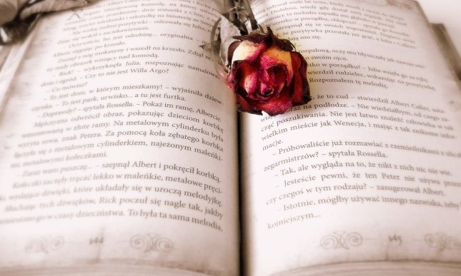 Perché amiamo il profumo dei vecchi libri? Ce lo spiega la scienza