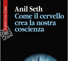 Come il cervello crea la nostra coscienza