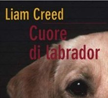 Cuore di Labrador