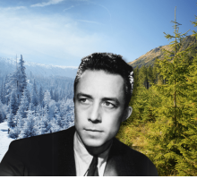 “Invincibile estate”: la poesia attribuita ad Albert Camus sulla resilienza umana