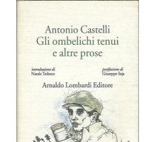 Gli ombelichi tenui e altre prose