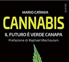 Cannabis. Il futuro è verde canapa