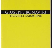 Novelle saracene