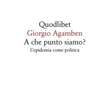 A che punto siamo? L'epidemia come politica